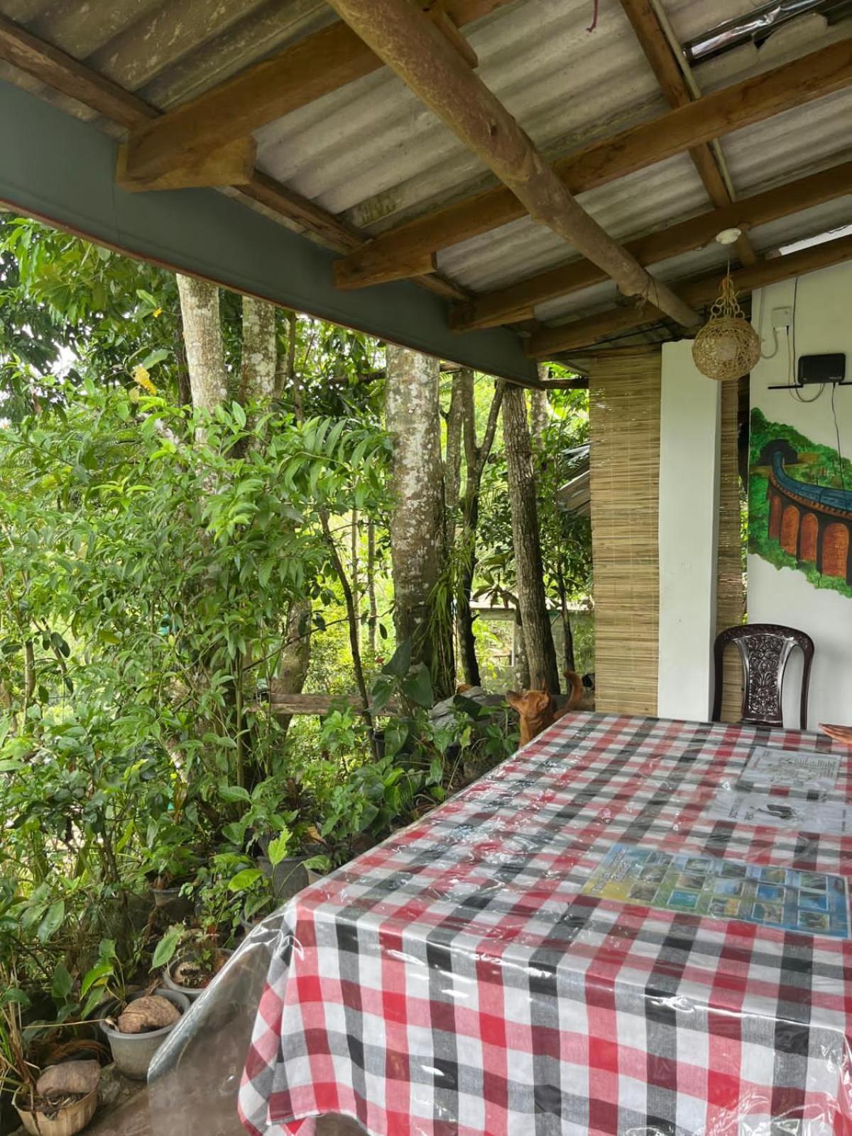 Himansa Homestay Ella Luaran gambar