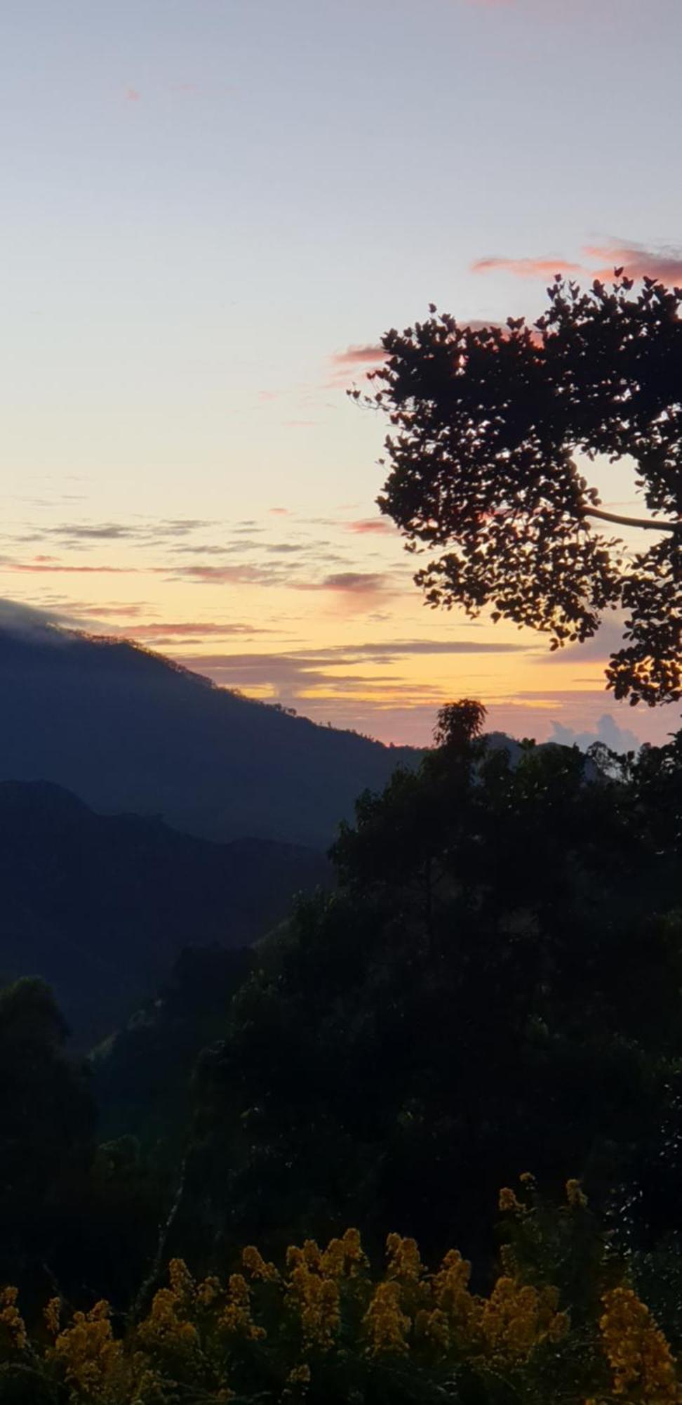 Himansa Homestay Ella Luaran gambar