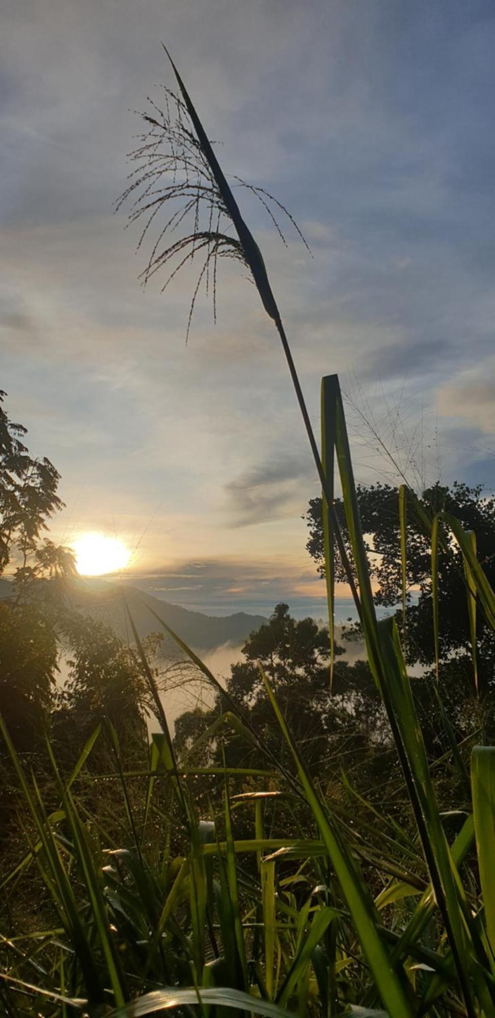 Himansa Homestay Ella Luaran gambar