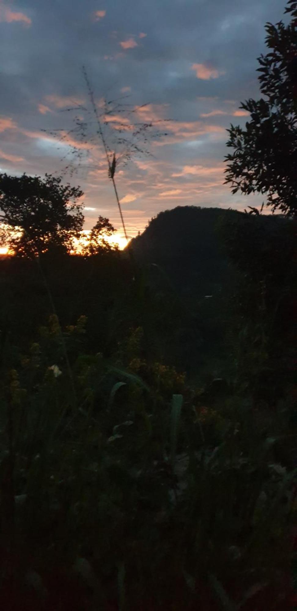 Himansa Homestay Ella Luaran gambar