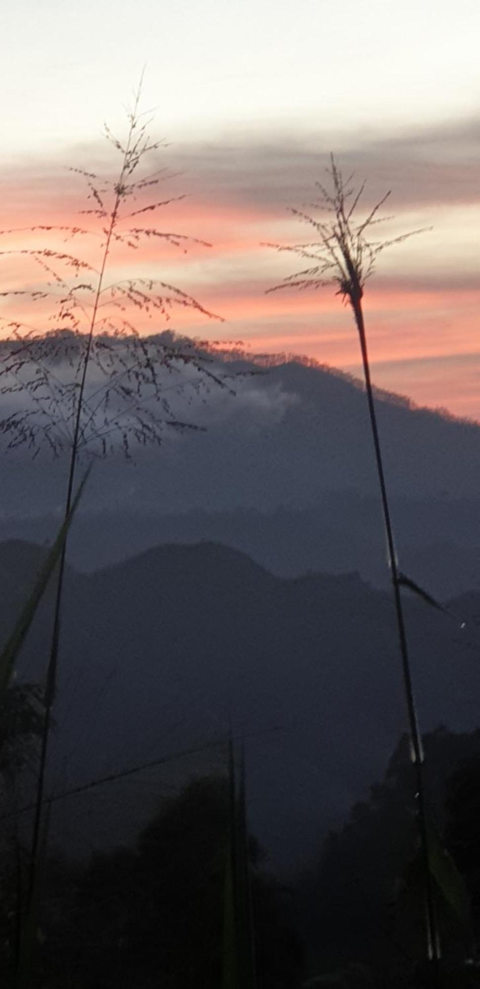 Himansa Homestay Ella Luaran gambar