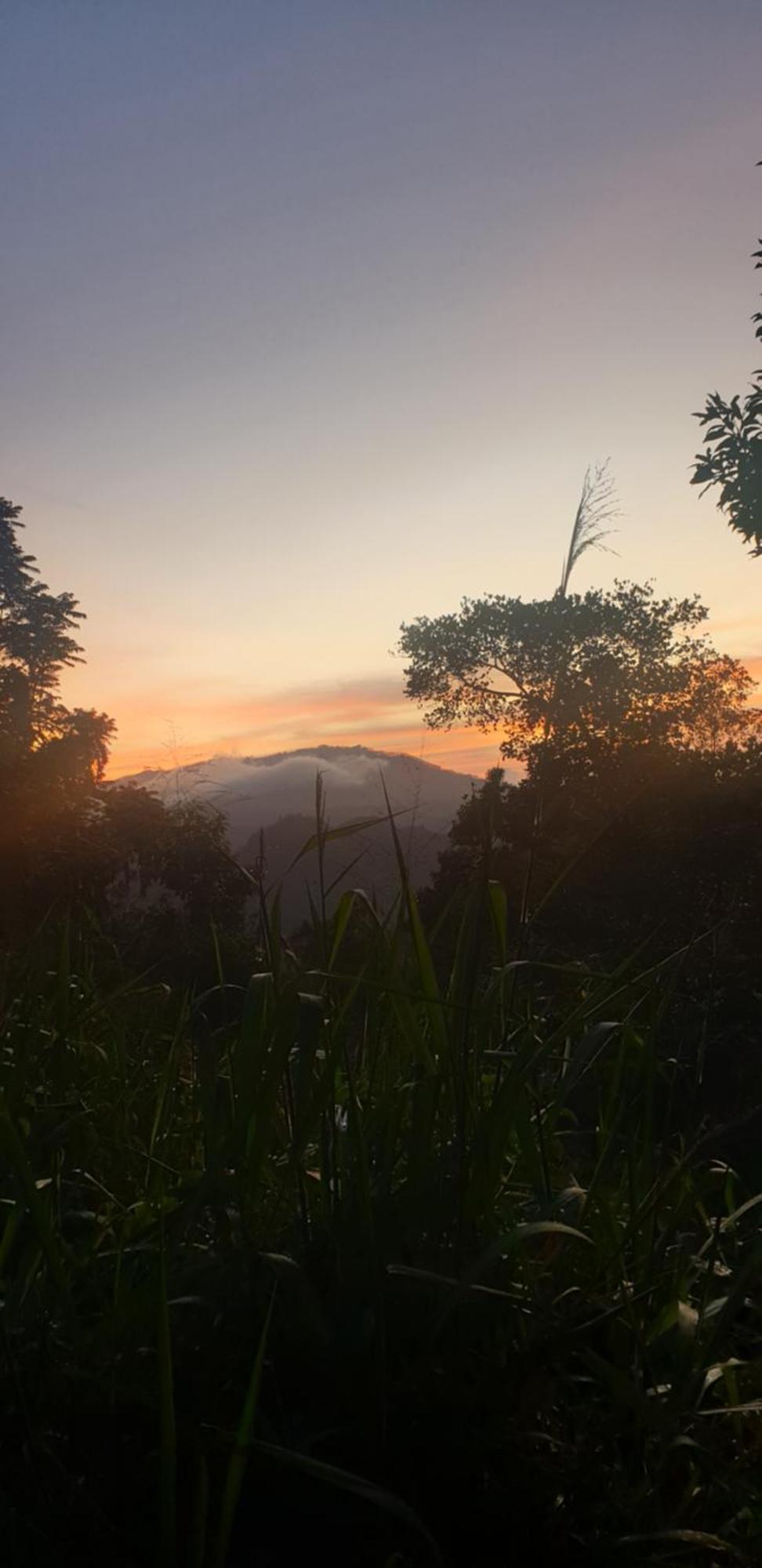 Himansa Homestay Ella Luaran gambar